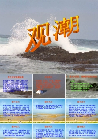 《观潮》 (2)