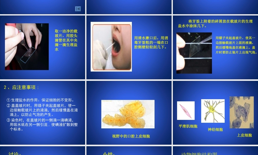 细胞的基本结构和功能