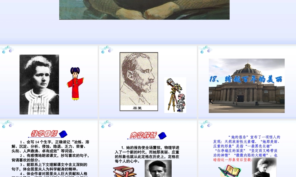 跨越百年的美丽课件 (2)