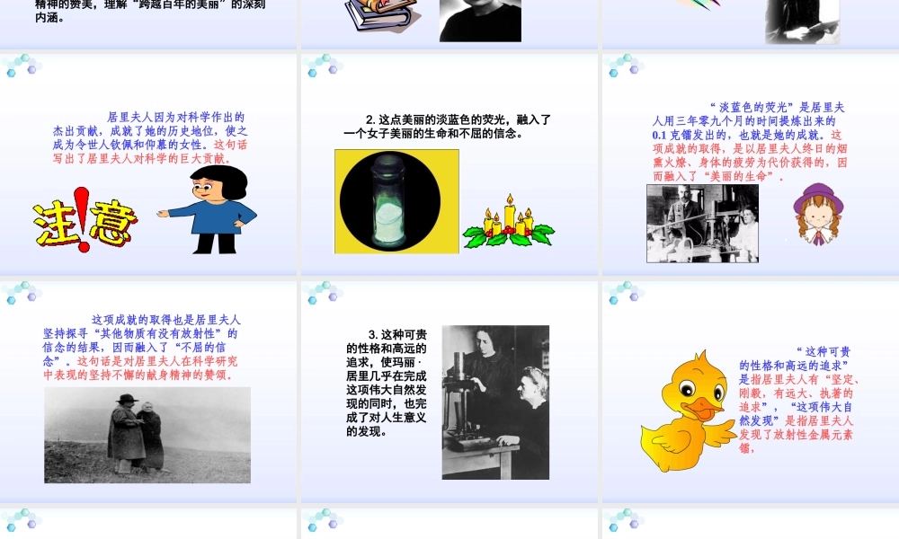 跨越百年的美丽课件 (2)