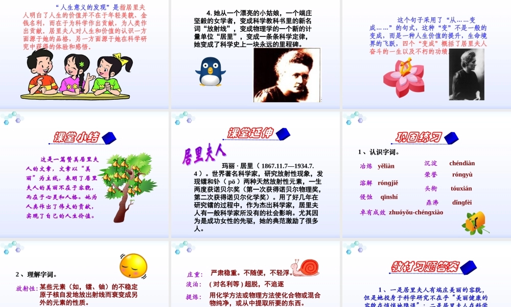 跨越百年的美丽课件 (2)