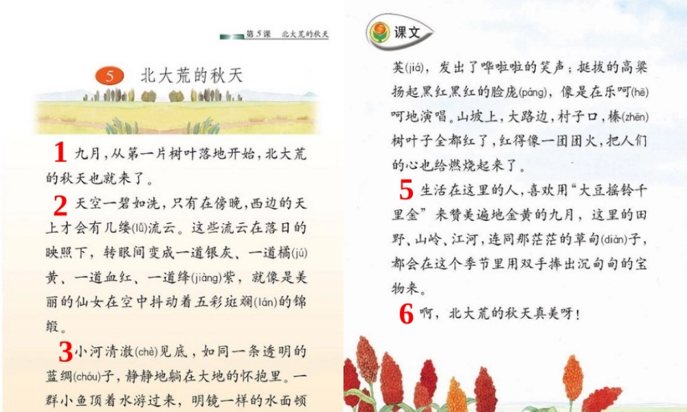 北大荒的秋天 (2)