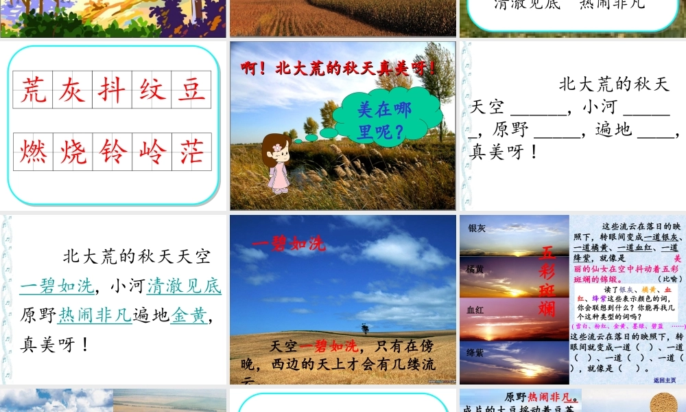 北大荒的秋天 (2)