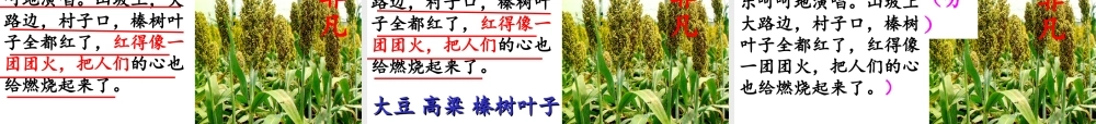 北大荒的秋天 (2)