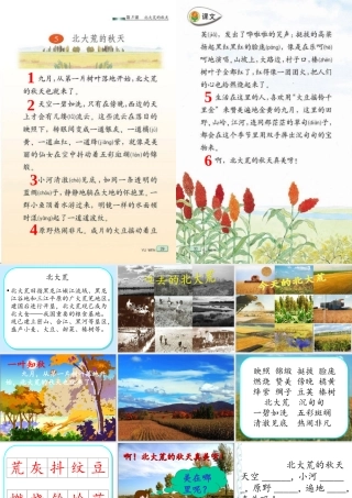 北大荒的秋天 (2)