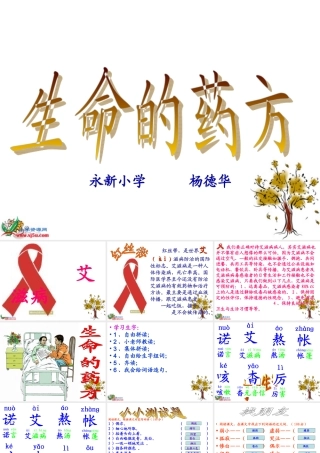 生命的药方PPT课件