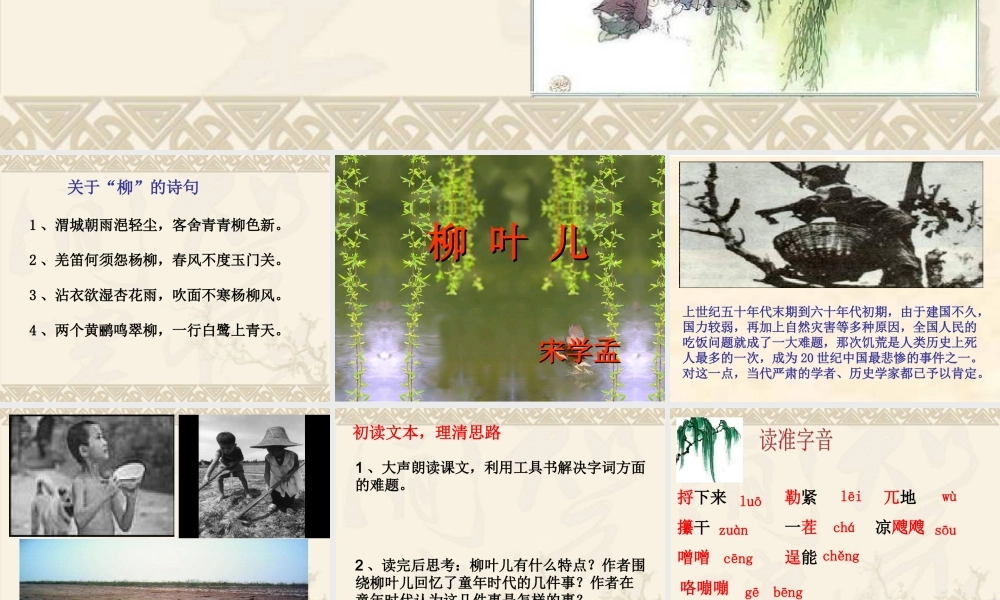 《柳叶儿》课件