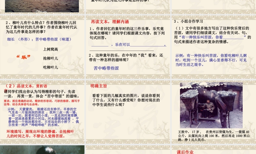 《柳叶儿》课件