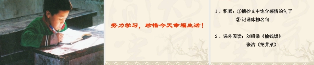 《柳叶儿》课件
