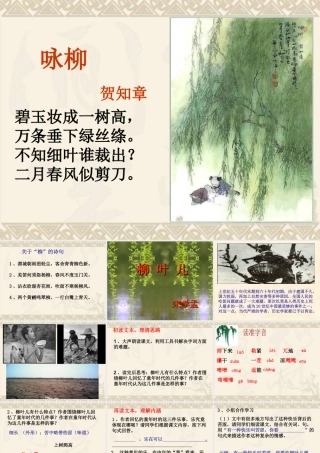 《柳叶儿》课件