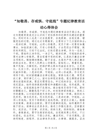 “知敬畏、存戒惧、守底线”专题纪律教育活动心得体会