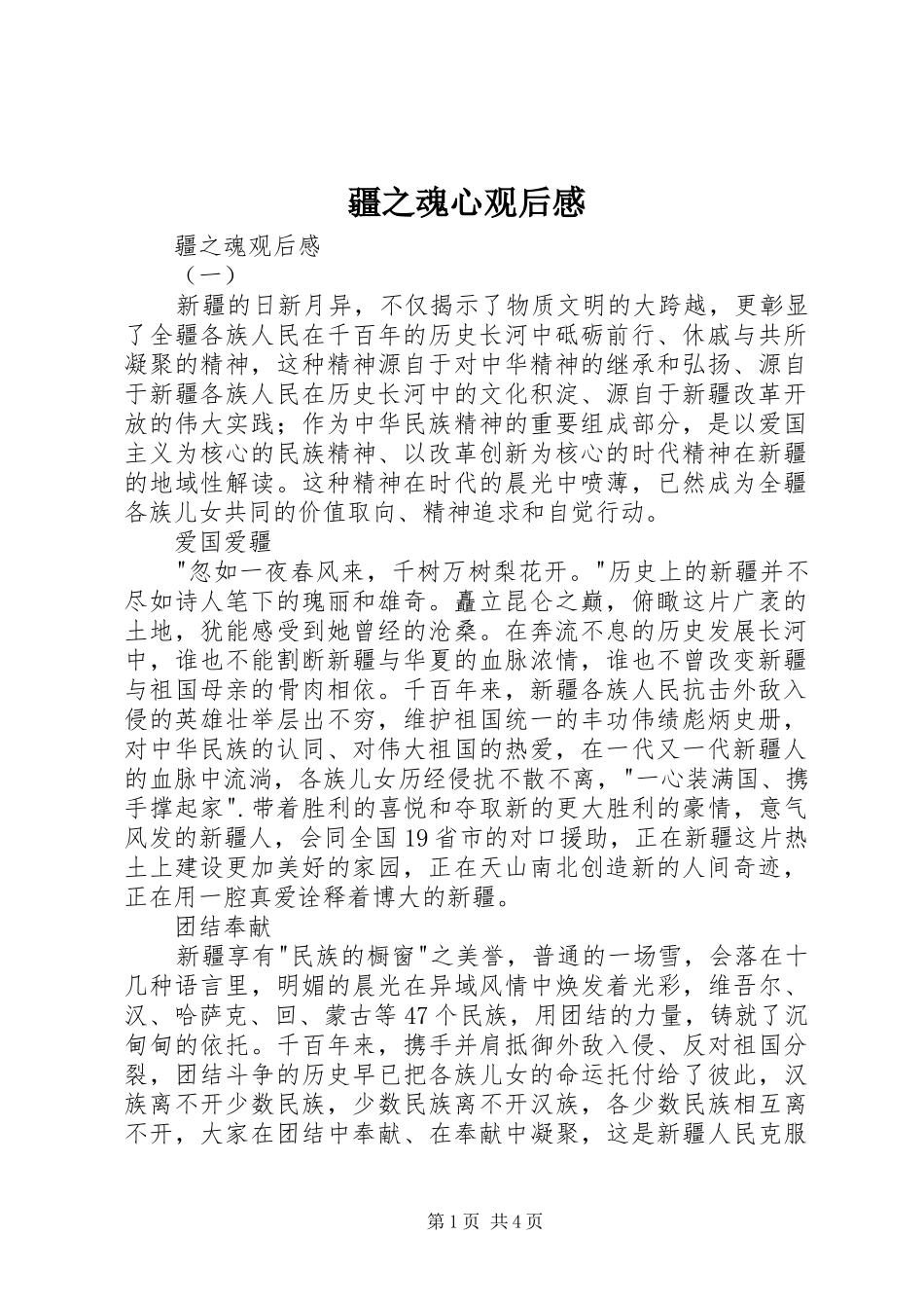 疆之魂心观后感_第1页