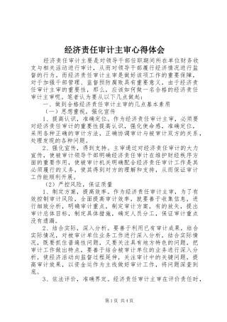 经济责任审计主审心得体会