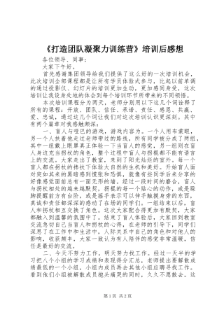 《打造团队凝聚力训练营》培训后感想