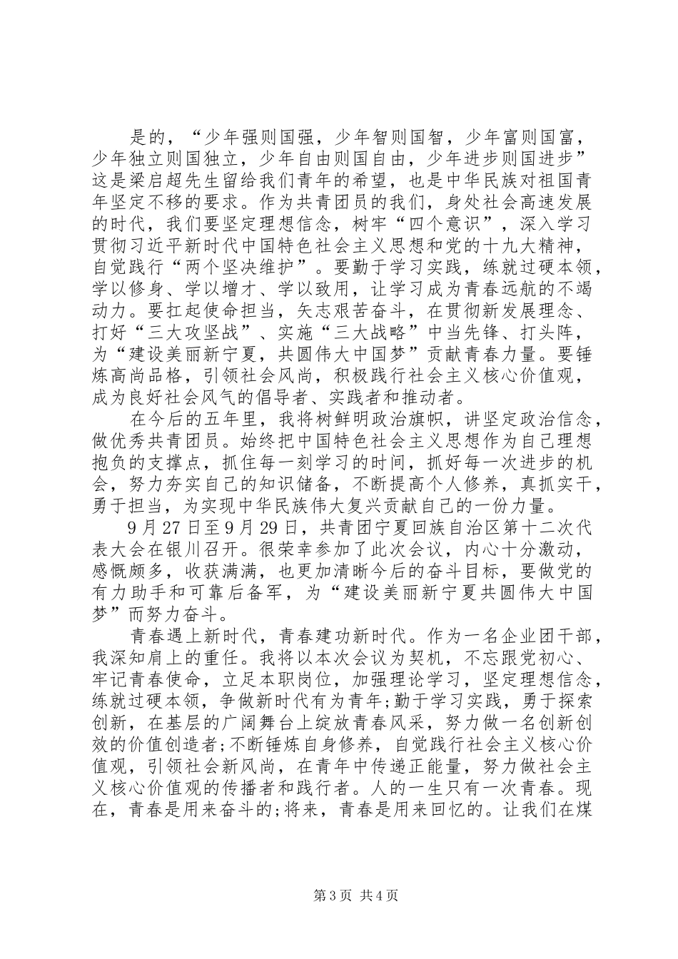 学习贯彻宁夏回族自治区第十二次团代会心得体会4篇_第3页