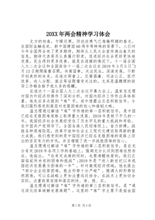 20XX年两会精神学习体会