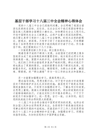 基层干部学习十八届三中全会精神心得体会
