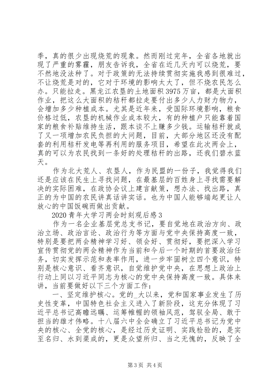 青年大学习两会时刻最新学习心得精选_第3页