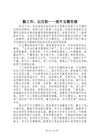 勤工作、记百姓——观牛玉儒有感