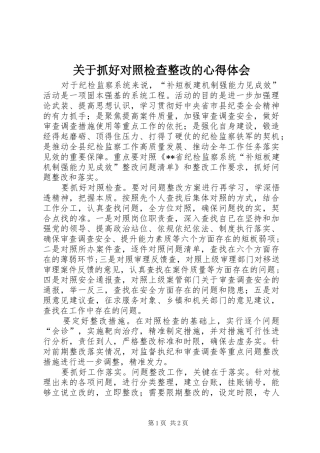 关于抓好对照检查整改的心得体会