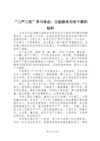 “三严三实”学习体会：立起修身为官干事的标杆