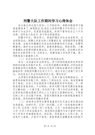 刑警大队工作期间学习心得体会