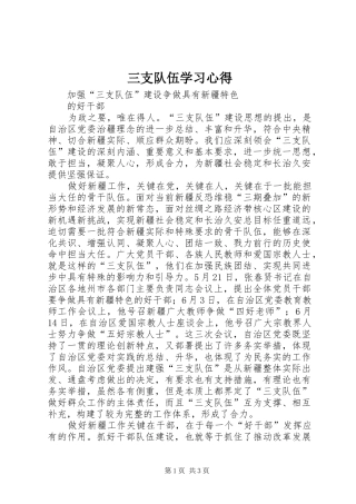 三支队伍学习心得