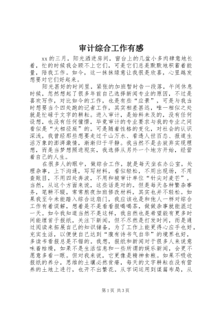 审计综合工作有感