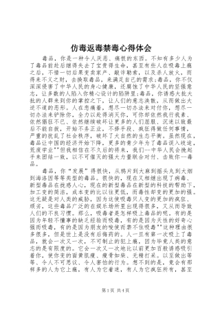 仿毒返毒禁毒心得体会