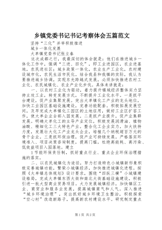 乡镇党委书记书记考察体会五篇范文