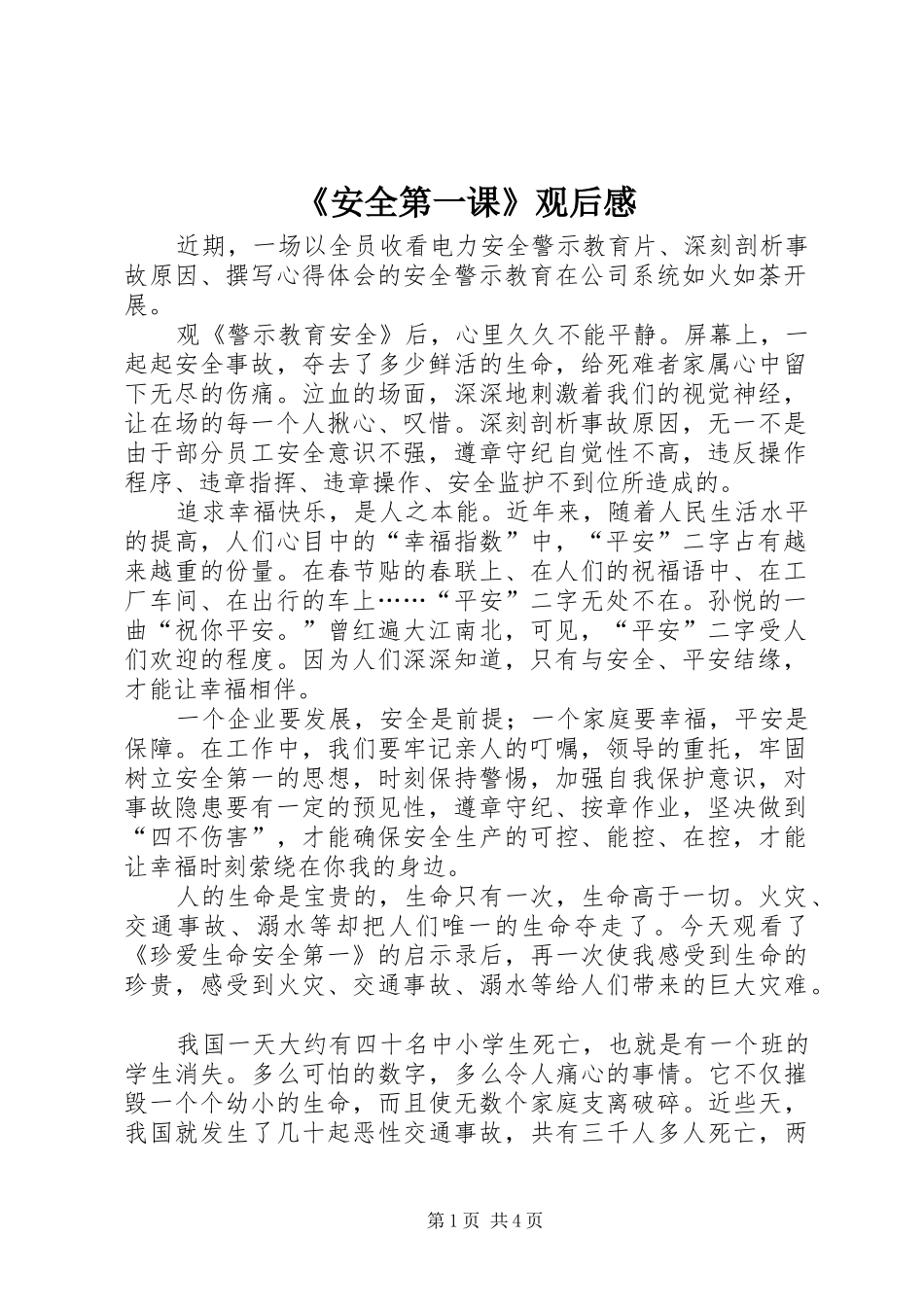 《安全第一课》观后感_第1页