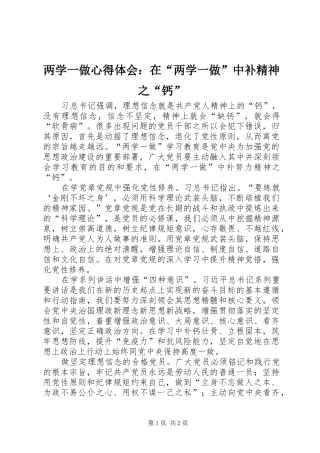 两学一做心得体会：在“两学一做”中补精神之“钙”