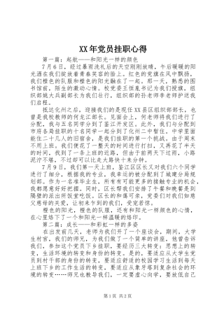 XX年党员挂职心得