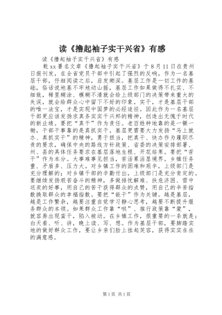 读《撸起袖子实干兴省》有感