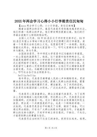 20XX年两会学习心得小小行李箱责任沉甸甸