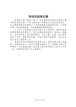 利剑巡视观后感