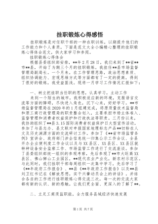 挂职锻炼心得感悟