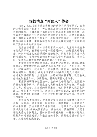 深挖清查“两面人”体会