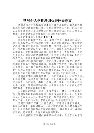 基层个人党建培训心得体会例文