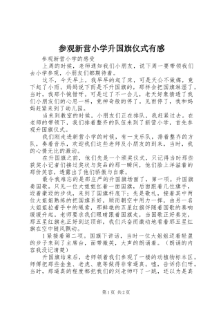 参观新营小学升国旗仪式有感