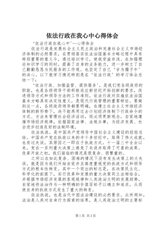 依法行政在我心中心得体会