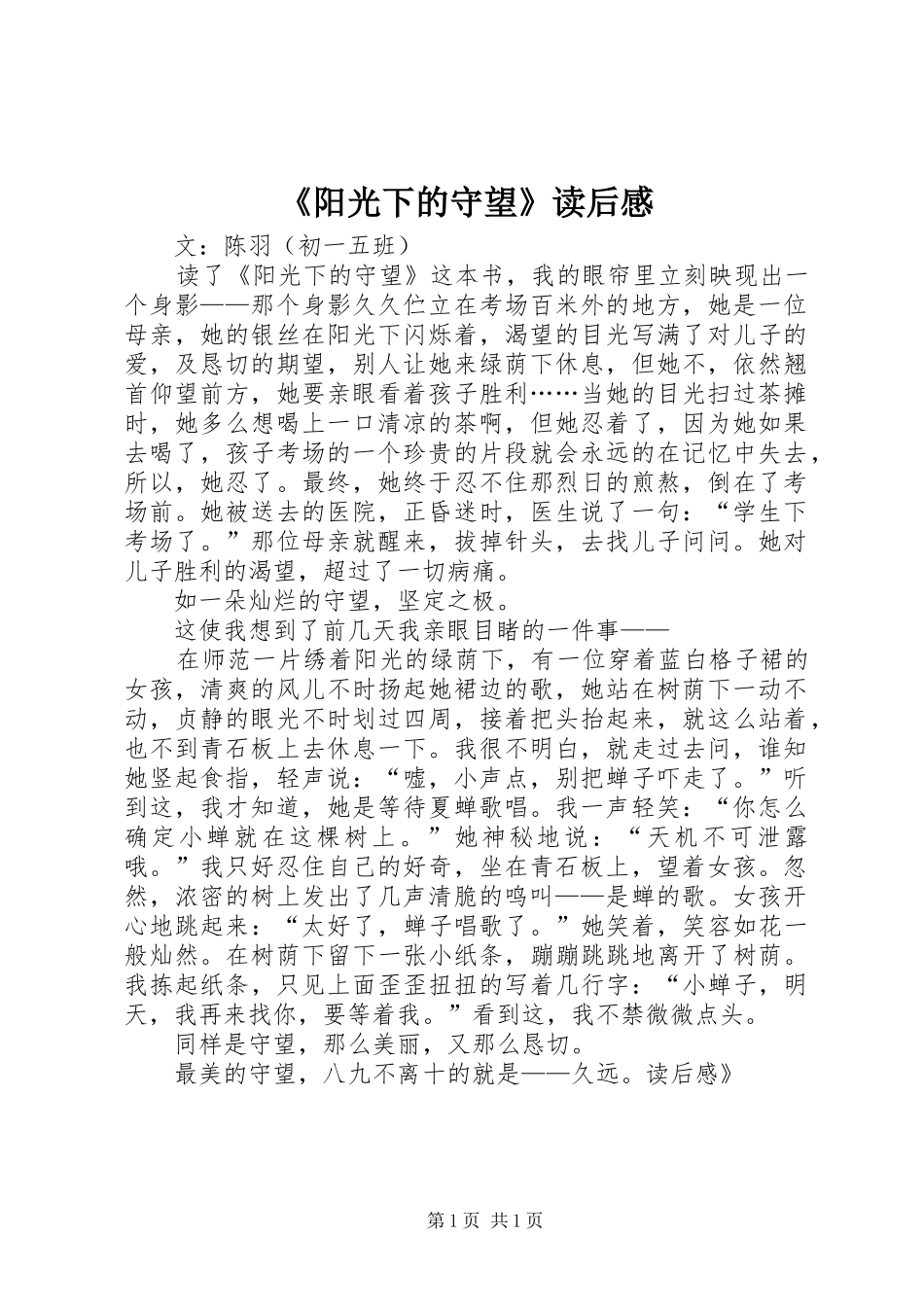 《阳光下的守望》读后感_第1页