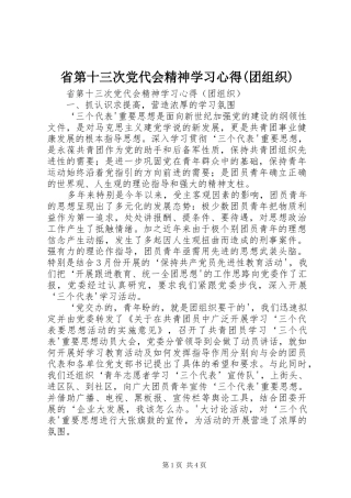 省第十三次党代会精神学习心得(团组织)