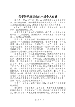 关于防汛抗洪救灾一线个人有感