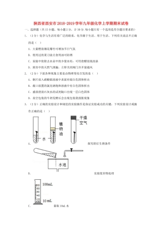 陕西省西安市九年级化学上学期期末试卷考试卷