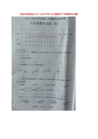 陕西省商南县七年级数学下学期期末考试卷(扫描版，无答案) 新人教版考试卷