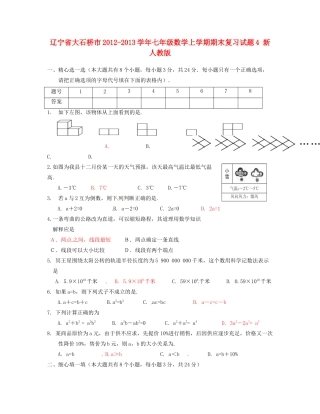 辽宁省大石桥市七年级数学上学期期末复习考试卷4(答案不全) 新人教版考试卷