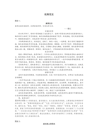 辽宁省沈阳市中考语文考试卷研究 优秀范文(pdf) 素材