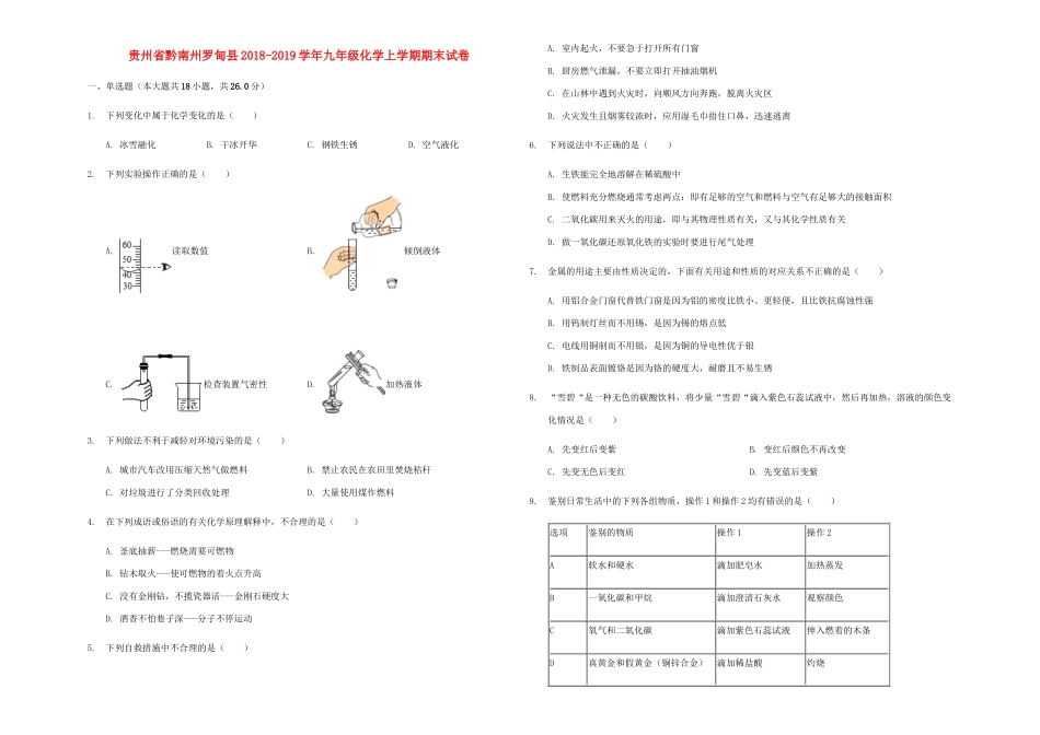 贵州省黔南州罗甸县九年级化学上学期期末试卷考试卷_第1页