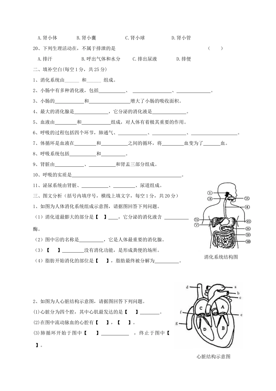 重庆市江津区七年级生物下学期六校联考考试卷 新人教版考试卷_第3页